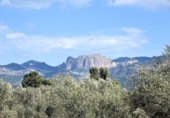 Xalet independent amb terreny en venda a la España, Queretes, ref.: TR147713 foto