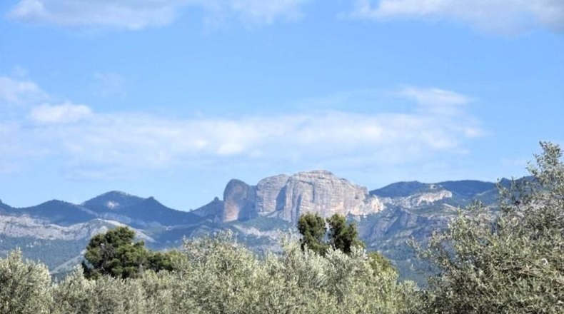 Teruel - Cretas - 68218m2