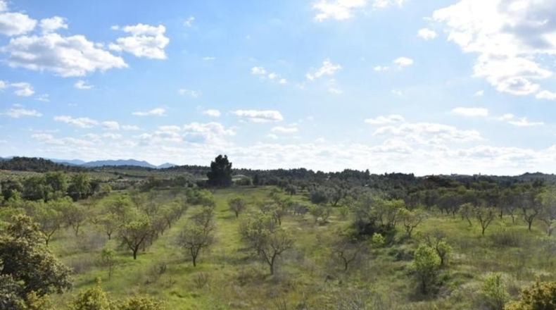 Teruel - Cretas - 68218m2