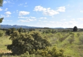 Xalet independent amb terreny en venda a la España, Queretes, ref.: TR147713 foto