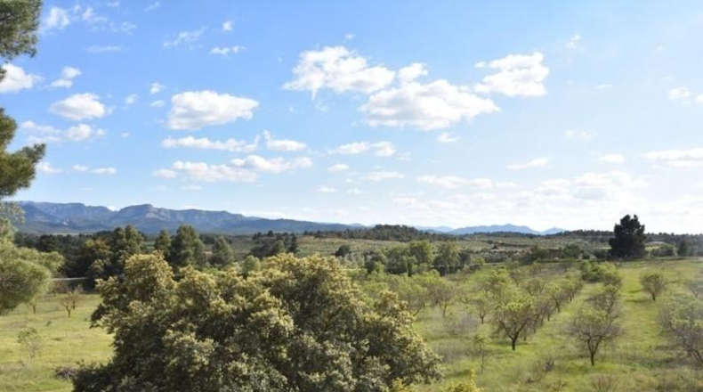 Teruel - Cretas - 68218m2