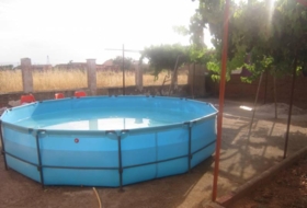 Foto 5