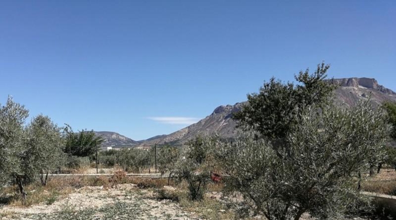 Almería - Vélez-Rubio - 100m2