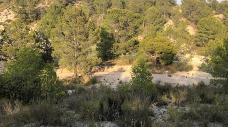 Murcia - Lorca - 411662m2