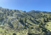 Земля на продажу у города Lorca Фото