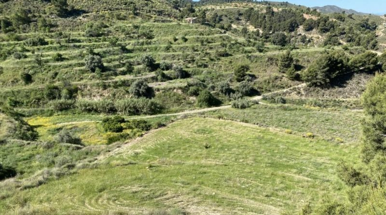 Murcia - Lorca - 411662m2