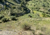 Земля на продажу у города Lorca Фото