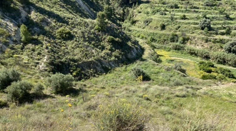 Murcia - Lorca - 411662m2