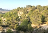 Земля на продажу у города Lorca Фото