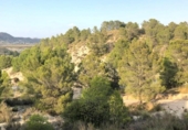 Земля на продажу у города Lorca Фото