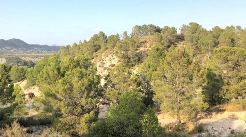 Murcia - Lorca - 411662m2