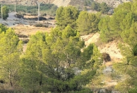 Foto 8