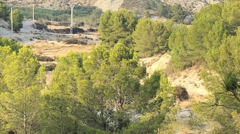 Murcia - Lorca - 411662m2