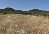 Non-developable land for sale on España, Padul, ref: TR316658 photo