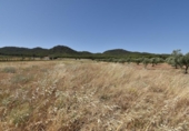 Non-developable land for sale on España, Padul, ref: TR316658 photo