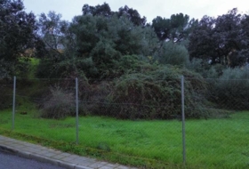 Las Pajanosas 1662&nbsp;m² 