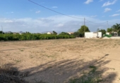 Non-developable land for sale on España, Murcia, ref: TR170428 photo