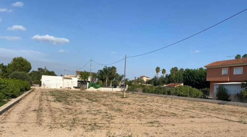 Murcia - Murcia - 2000m2