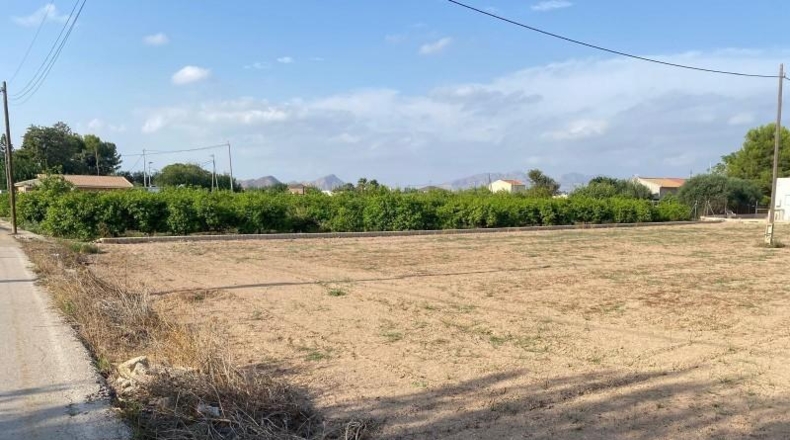Murcia - Murcia - 2000m2