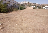 Casa de camp amb terreny en venda a la España, Arcos de la Frontera, ref.: TR295580 foto