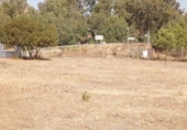 Casa de camp amb terreny en venda a la España, Arcos de la Frontera, ref.: TR295580 foto
