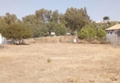 Casa de camp amb terreny en venda a la España, Arcos de la Frontera, ref.: TR295580 foto