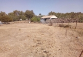Casa de camp amb terreny en venda a la España, Arcos de la Frontera, ref.: TR295580 foto