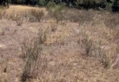 Parcel·la urbanitzable en venda a la España, Méntrida, ref.: TR122533 foto