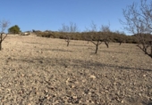 Land suitable for development for sale on España, Totana, ref: TR276526 photo
