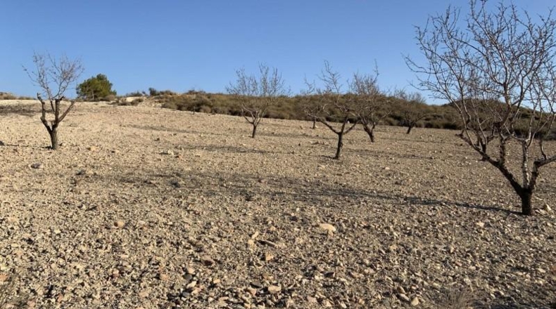 Murcia - Mazarrón - 32422m2