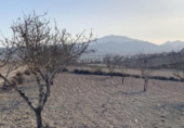 Land suitable for development for sale on España, Totana, ref: TR276526 photo