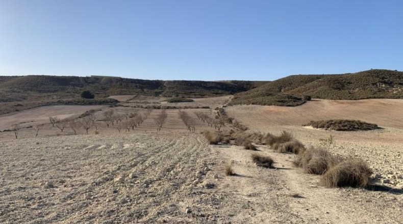 Murcia - Mazarrón - 32422m2