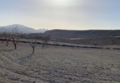 Land suitable for development for sale on España, Totana, ref: TR276526 photo