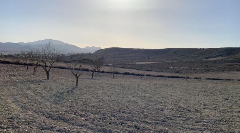Murcia - Mazarrón - 32422m2