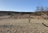 Land suitable for development for sale on España, Totana, ref: TR276526 photo
