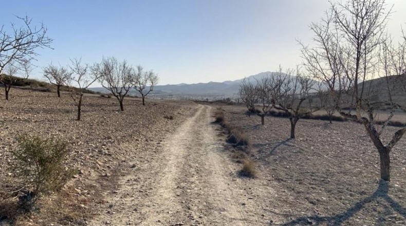 Murcia - Mazarrón - 32422m2