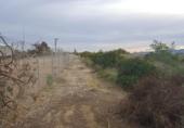Finca rústica en venta en la España, Librilla, ref: TR395087 foto