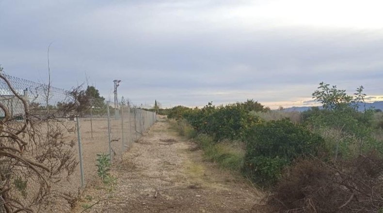 Murcia - Librilla - 9191m2