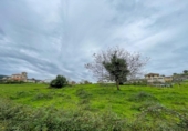 Terreny no urbanitzable en venda a la España, San Miguel de Aras, ref.: TR179456 foto