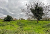 Terreny no urbanitzable en venda a la España, San Miguel de Aras, ref.: TR179456 foto