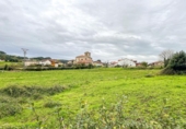 Terreny no urbanitzable en venda a la España, San Miguel de Aras, ref.: TR179456 foto
