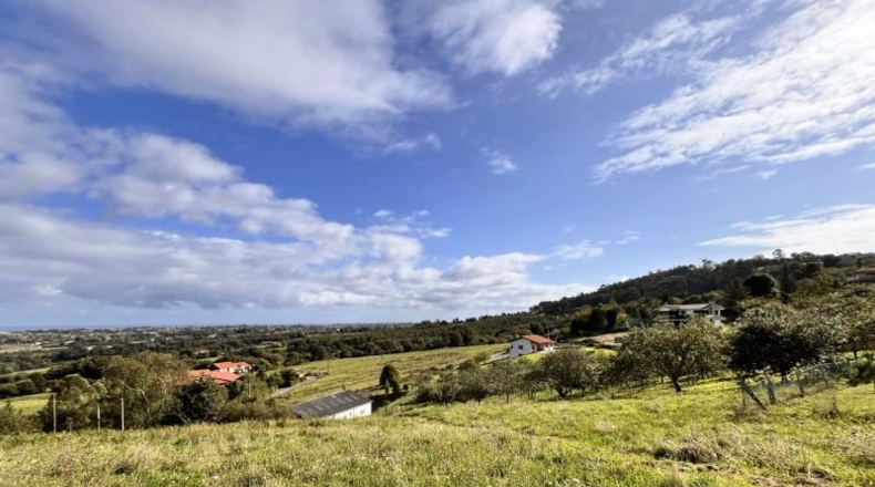 Asturias - Villaviciosa - 1600m2