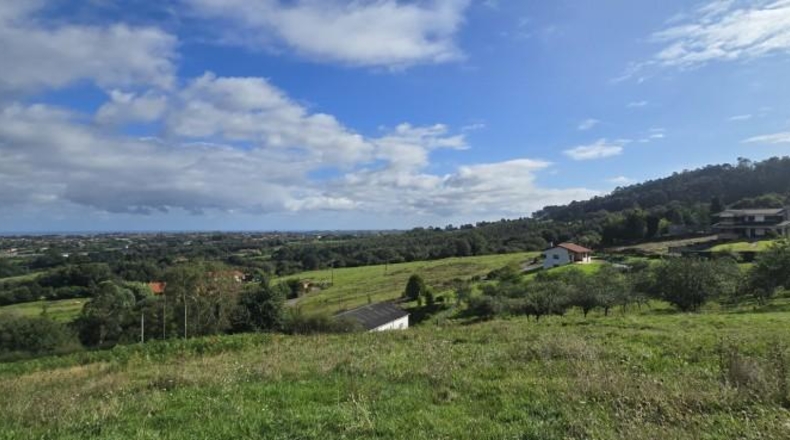 Asturias - Villaviciosa - 1600m2