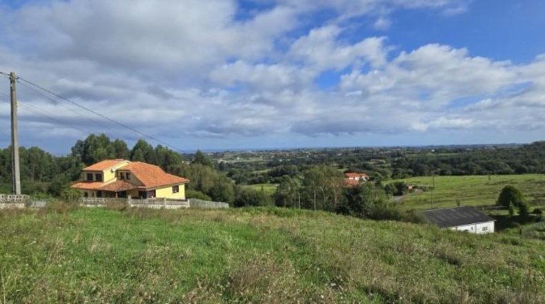 Asturias - Villaviciosa - 1600m2