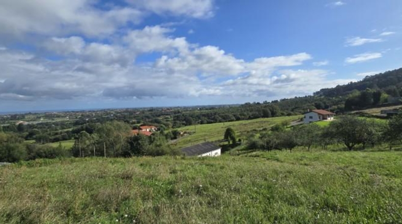 Asturias - Villaviciosa - 1600m2