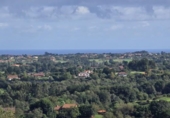 Land suitable for development for sale on España, Villaviciosa, ref: TR171743 photo
