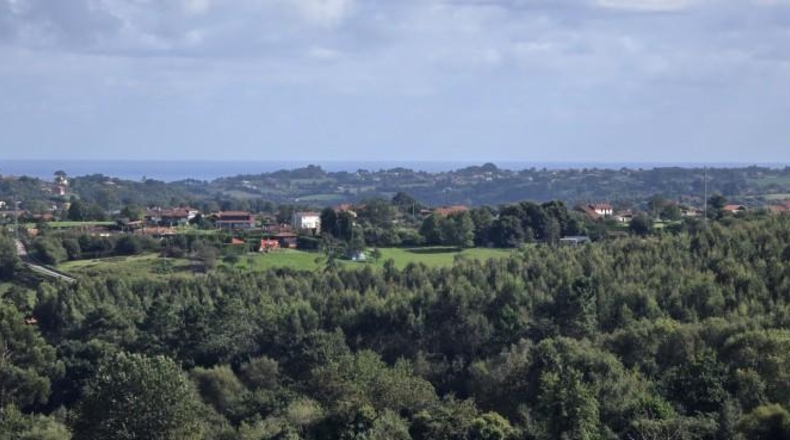 Asturias - Villaviciosa - 1600m2