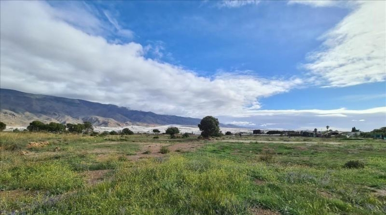 Almería - El Ejido - 2000m2