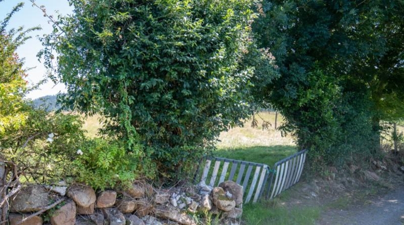 Asturias - Villaviciosa - 1511m2