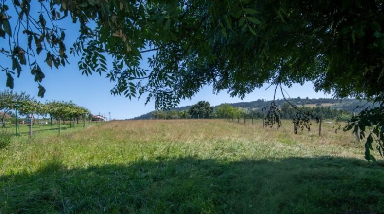 Asturias - Villaviciosa - 1511m2